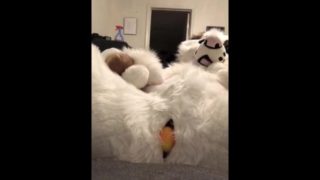 SaoirseMutt Fullsuit Egg Laying