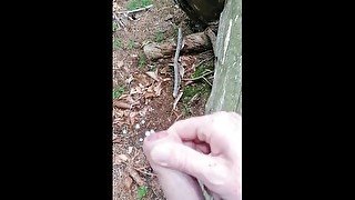 Public Cumshot in the Forest