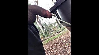 Pissing in my neighbors backyard