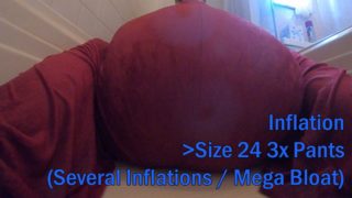 WWM - Red Pants Sitting and Max Inflation