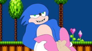 SONIC HENTAI PORN AMY CARTOON SEX