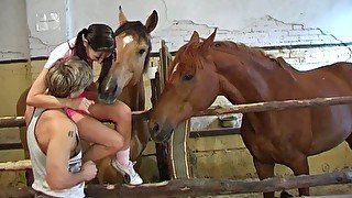 Amazing black head with pigtails Sandy gets busy with sucking a dick in the shed