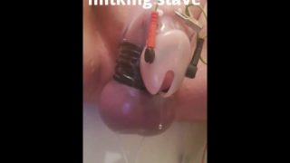 Tiny dicked slave mindcontrol