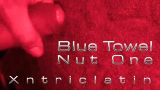 Blue Towel Nut One