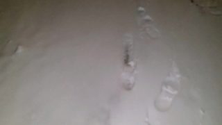 Asmr walking in crunchy snow 