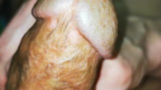 big cock erection super close up