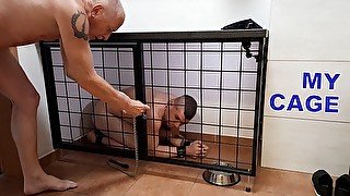 My cage