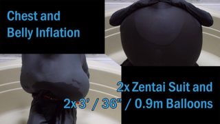 WWM - Zentai Inflation Round 2