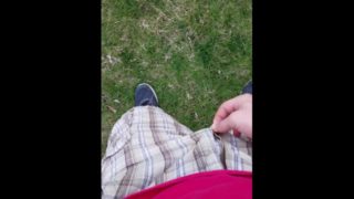 Pissing in the lawn