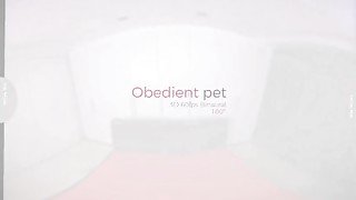 VirtualRealPorn - Obedient pet