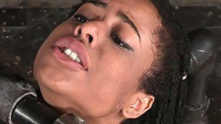 Sweet exotic chick Kira Noir likes hard BDSM threesome