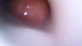 Cumming in a Fleshlight (recorded using an endoscope)