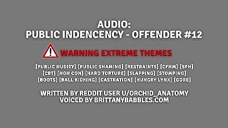*WARNING EXTREME THEMES* Audio: Public Indecency - Offender #12