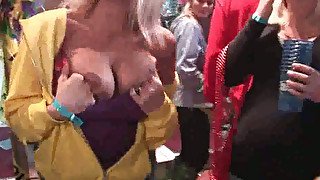 Group of amateur babes flashing off their tits