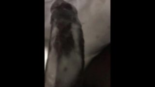 She wouldn’t let me record us fuckin’ but look what she did to my HARD Dick