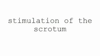 masturbation techniques for men. stimulation of the scrotum.