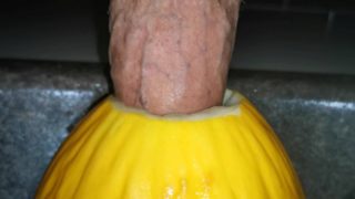 Big cock fucking a melon ( canary ) close up