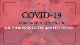 COVID-19: Chronicle of quarantine | Day 4 - Doggy style and eye contact