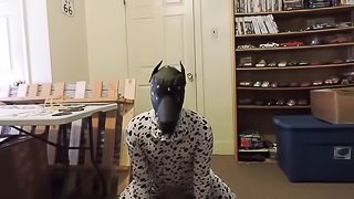 Just a short puppy play vid