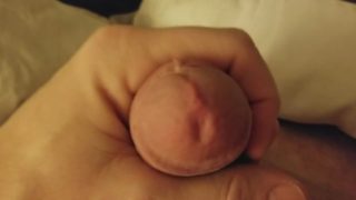 Jerking Off Big cock before bed Cumshot