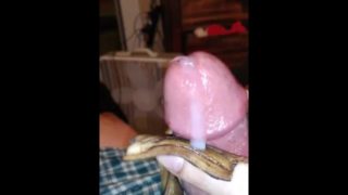 Stroking My Giant Mushroom Head With A Banana Peel Until I Cum Part 5