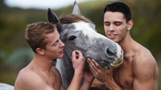 Gay guys fucking happily in a sun-lit cabin in the woods