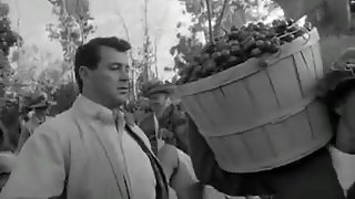 Bacanal de Rock Hudson en el Filme -Seconds- (1966)