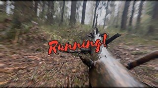 Forest running led to orgasm🤙🏻💧💦