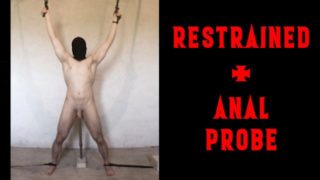 Restrained Straight Guy Moaning Edged with Anal Probe on his Prostate