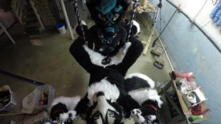 Murrsuiter gets pegged hard by a dominatrix in a swing