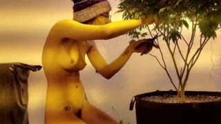 Nude  Gardening with Freak77Show Grow Tips Episode 2 Lollipopping