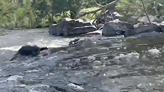 Nude River Saga - Stripping, Pissing, Flashing Kayakers, Fucking