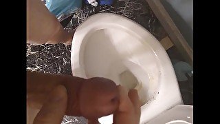 cumming in the toilet