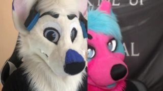 Furries After Dark: Episode 4 Micro Macro