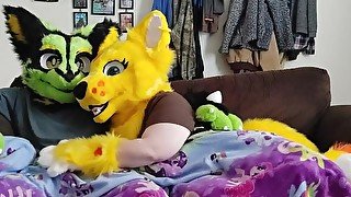 Sexy Furry movie night