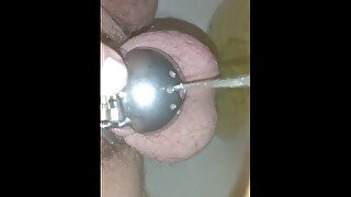 sex slave peeing in chastity morning wood sissy pee golden toilet