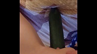 Fucking myself with a huge cucumber til I squirt