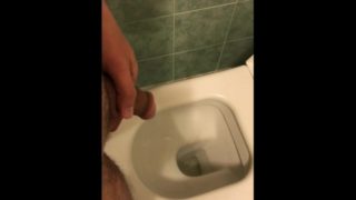 Masked Bear - Toilet pissing back from work