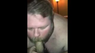 Daddy bear sucking off his boy