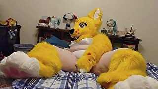 Furry uses Dildo to get off