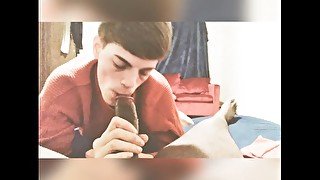 twink loves sucking bbc bull