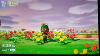 Comment for my Animal Crossing Friend Code! Let's squirt on each other's flowers!