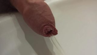 morning long foreskin pee closeup