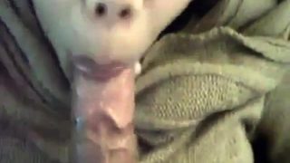 Asian teen with nice lips sucks him