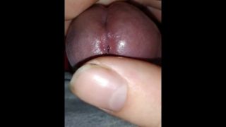 Dick Wagging Leads To Masturbation Part 4