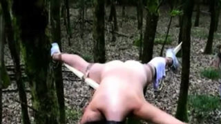 impaled slave pussy in nature