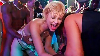 Amazing group sex party with cum addicted bitches