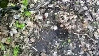 Outdoor piss and light masturbation