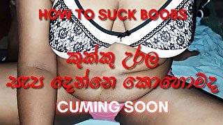 Coming Soon Sri lankan guide to how to suck boobs  කුක්කු දෙකට සැප දෙන්නෙ කොහොමද? ශානිගෙන් දැනගන්න