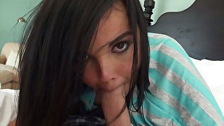 Pretty teeny brunette lady Dillion Harper sucking cock on POV